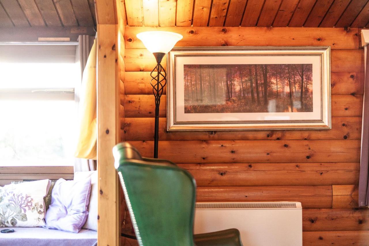 Log Cabin Nestled In The Mountains Of Snowdonia By Seren Property Trawsfynydd Екстериор снимка